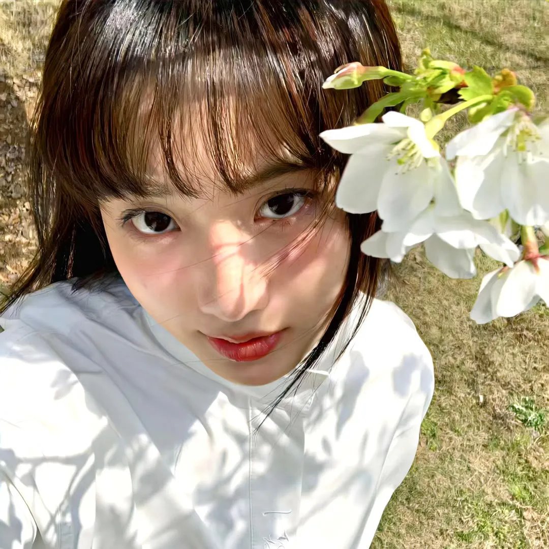 香车美人