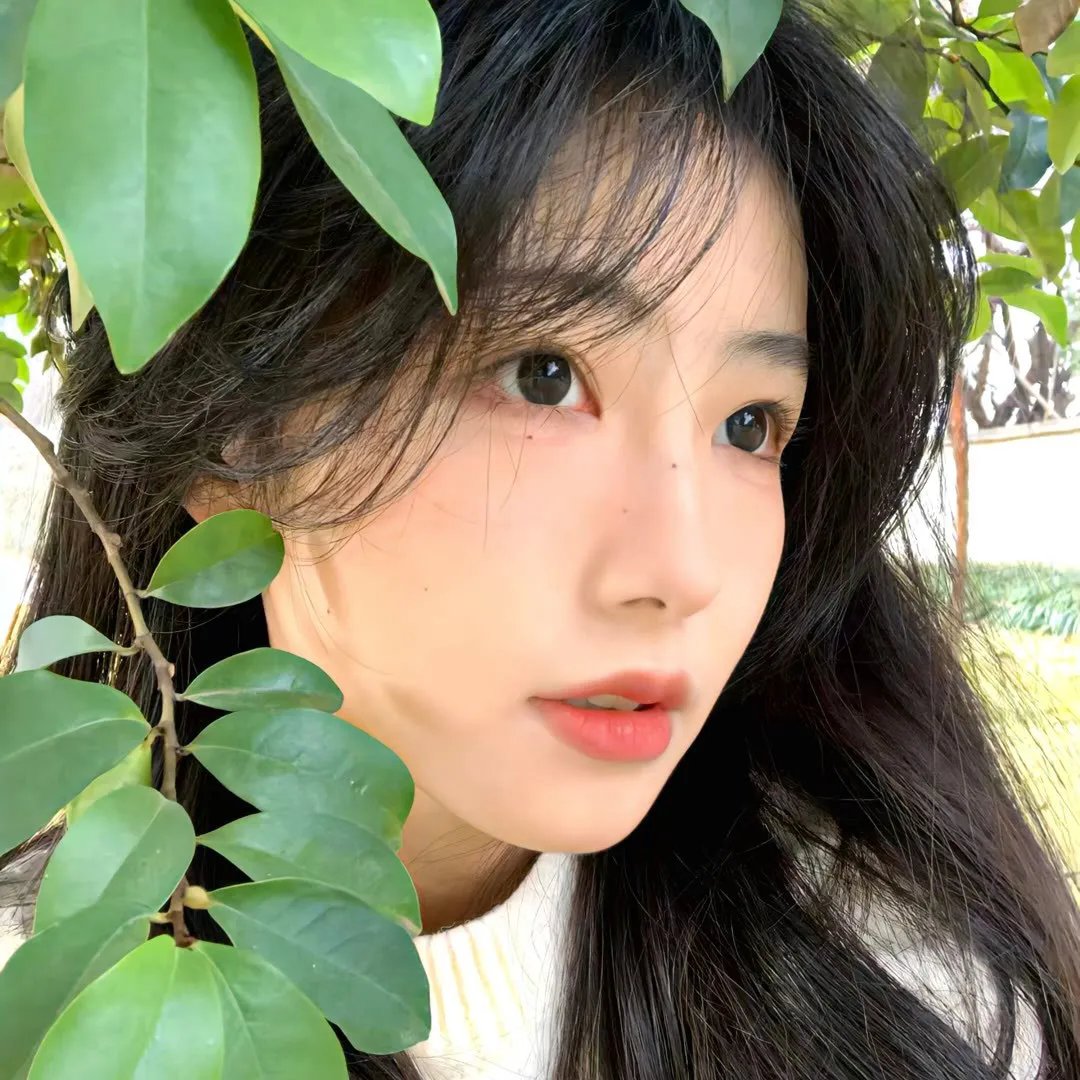 宿命,吾爱:幕间曲